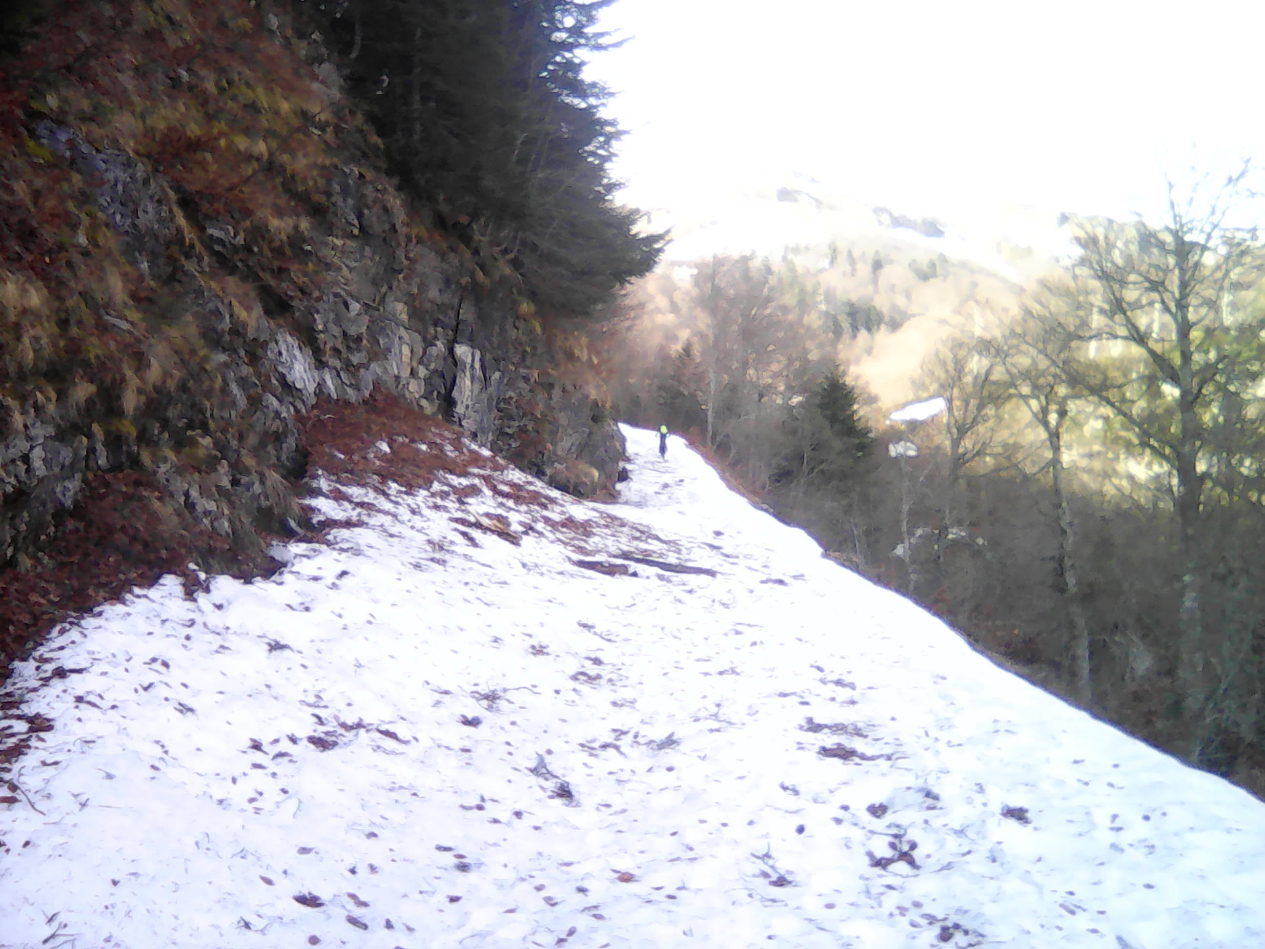 img0112a_2ca7c img0112a_2ca7c
