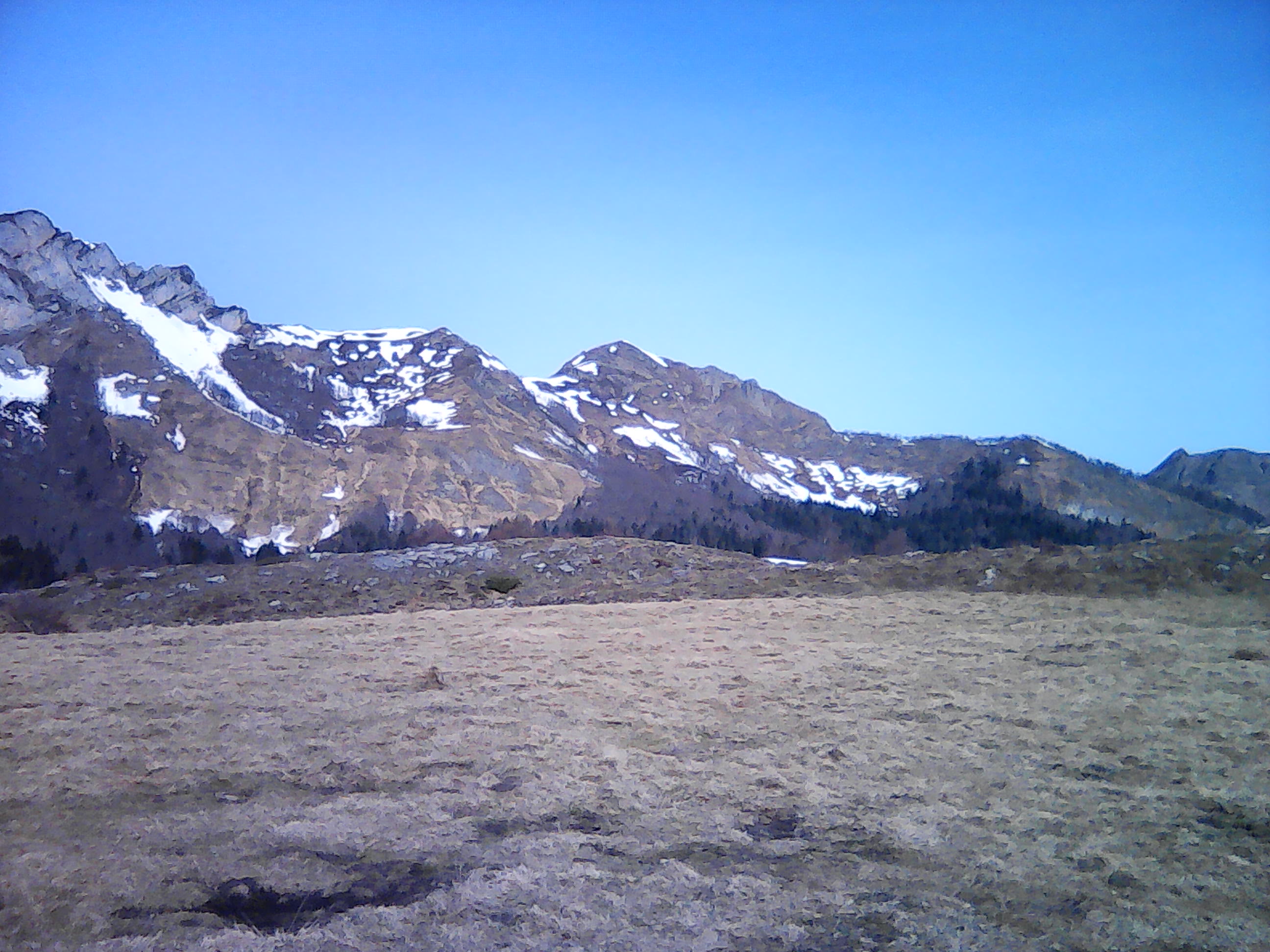 img0117a_f2c75 img0117a_f2c75