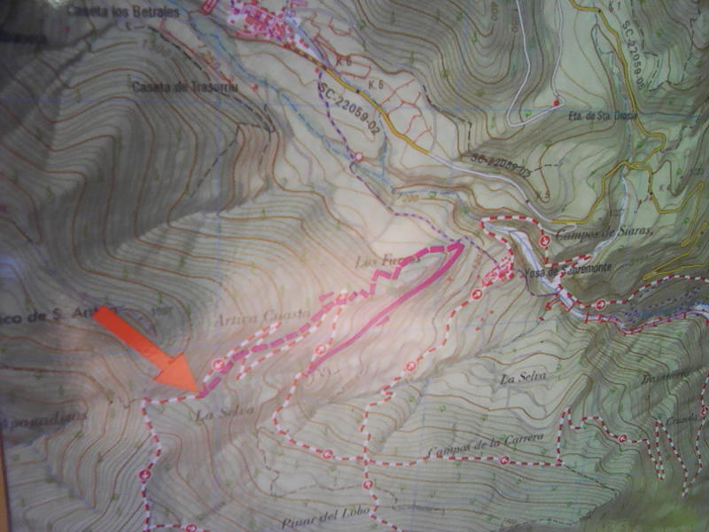 img0167a img0167a