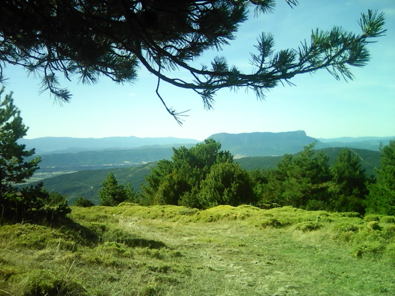 img0168a img0168a