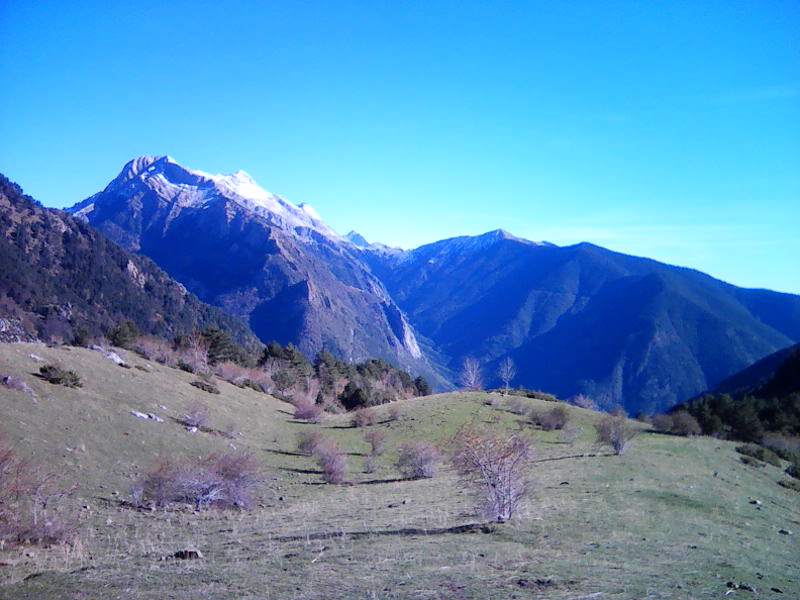 img0173a img0173a